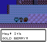 gold berry!